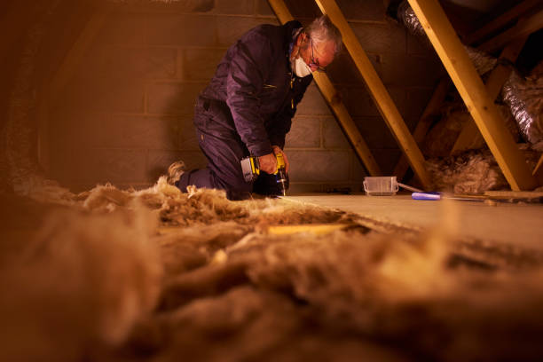 Best Insulation Maintenance and Repair in Glenwood, GA